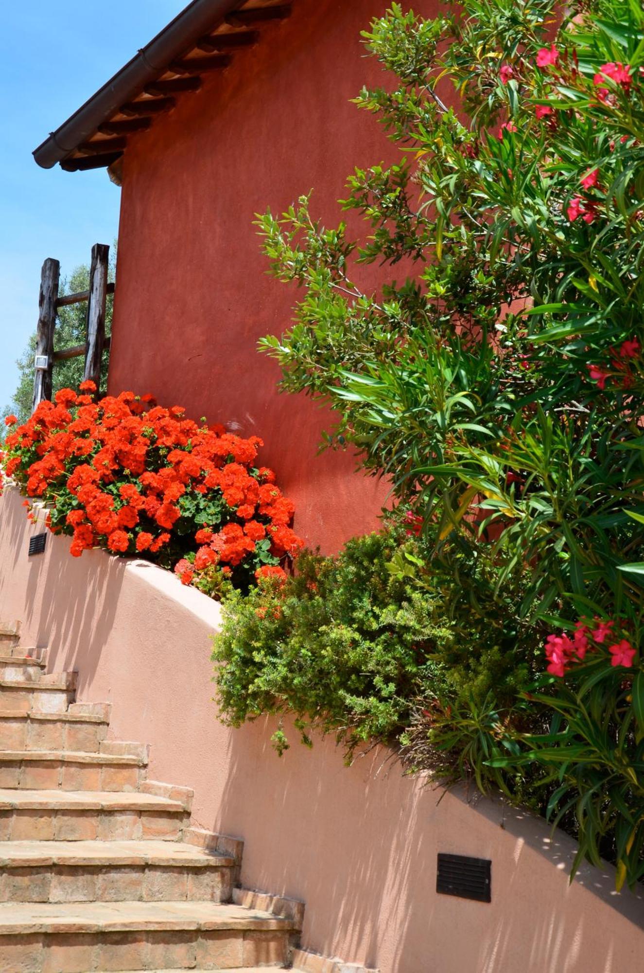 Tenuta Saracone Montalto di Castro Εξωτερικό φωτογραφία