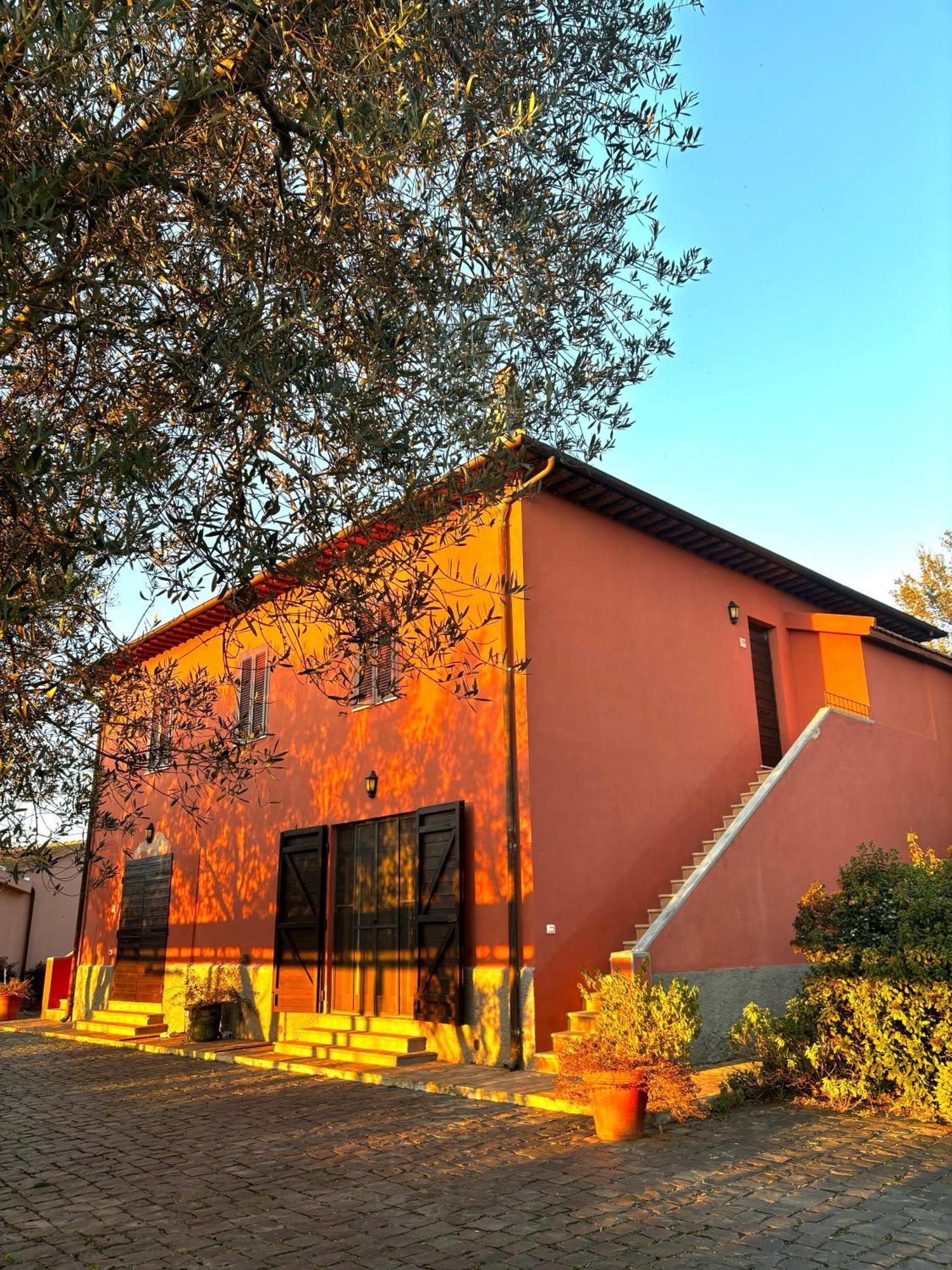Tenuta Saracone Montalto di Castro Εξωτερικό φωτογραφία