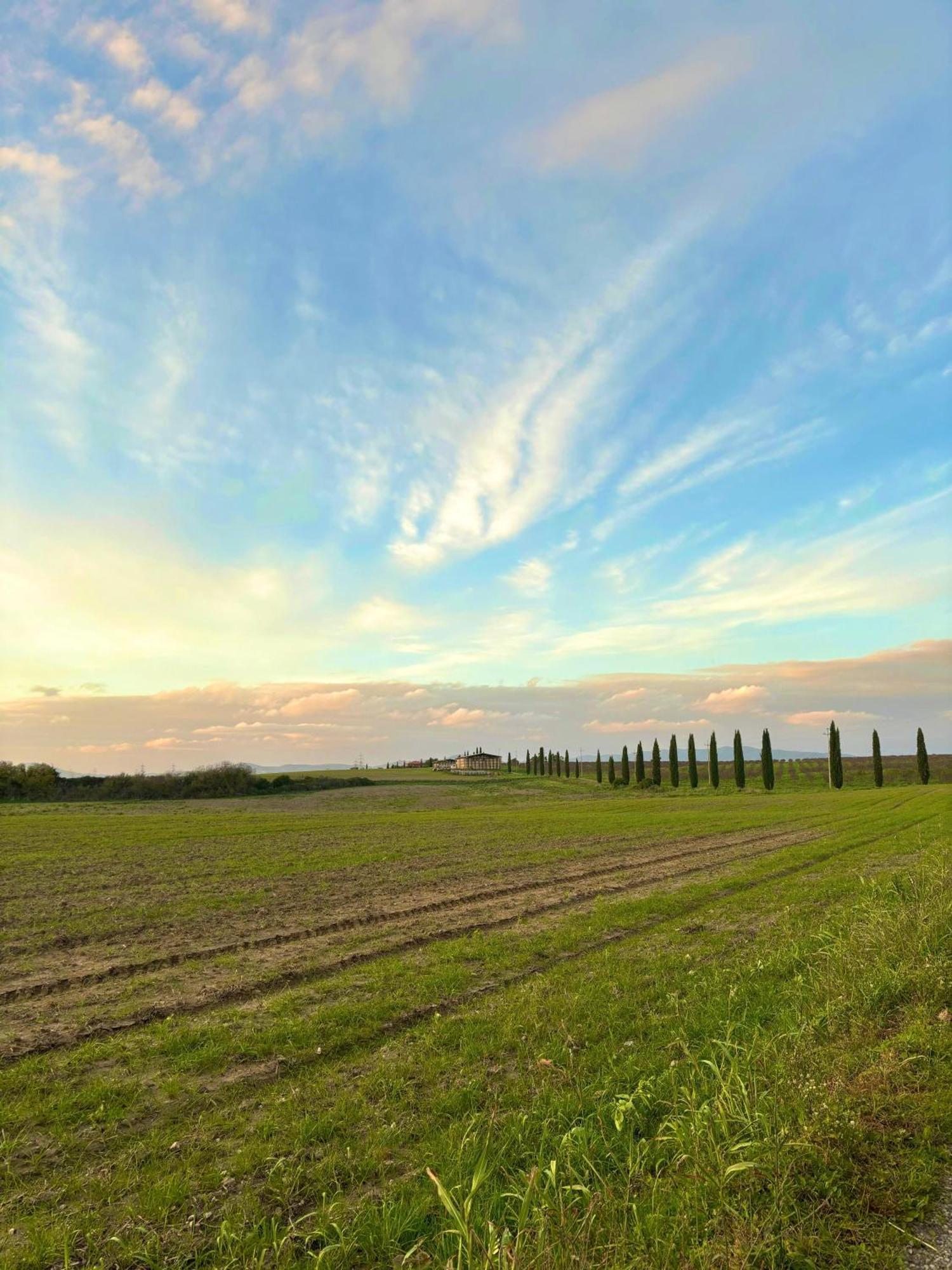 Tenuta Saracone Montalto di Castro Εξωτερικό φωτογραφία