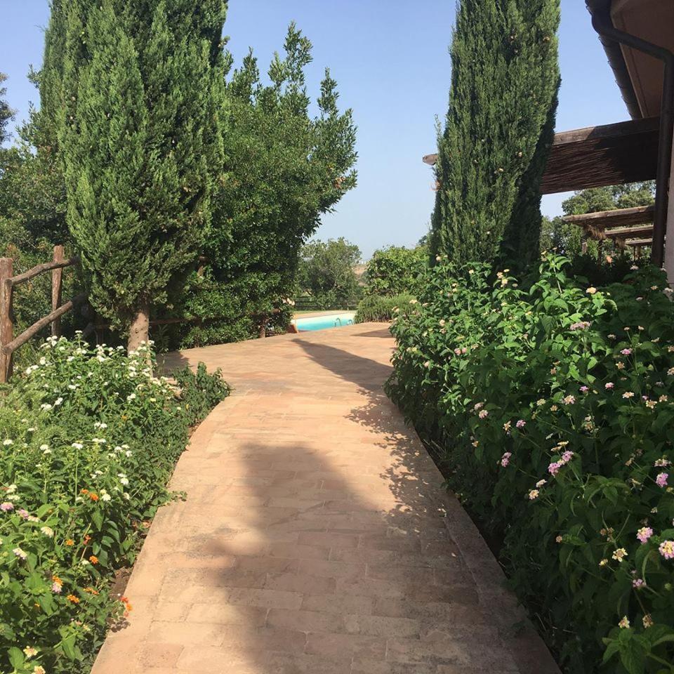 Tenuta Saracone Montalto di Castro Εξωτερικό φωτογραφία